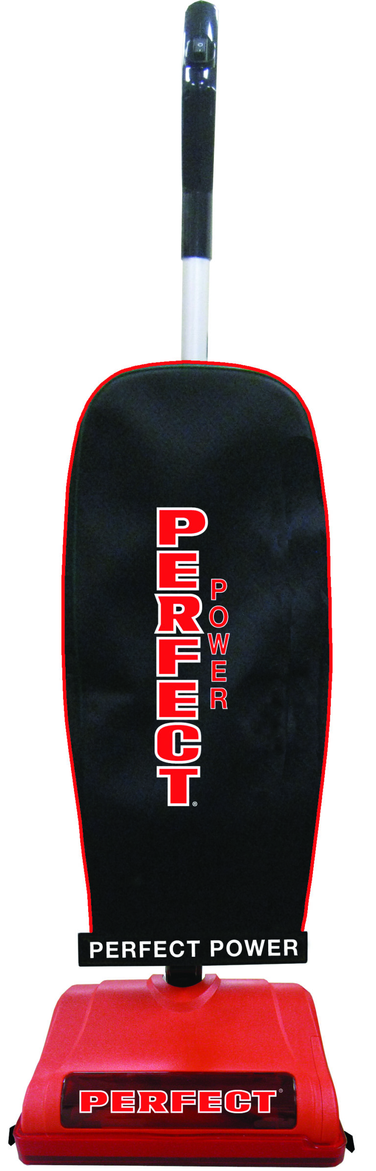 P110 Amazon.jpg